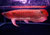 super-red-arowana-08