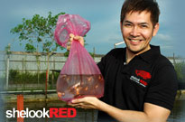 shelookred-arowana-ferry-salim