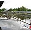 super-red-arowana-tambak03