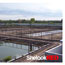 super-red-arowana-tambak04
